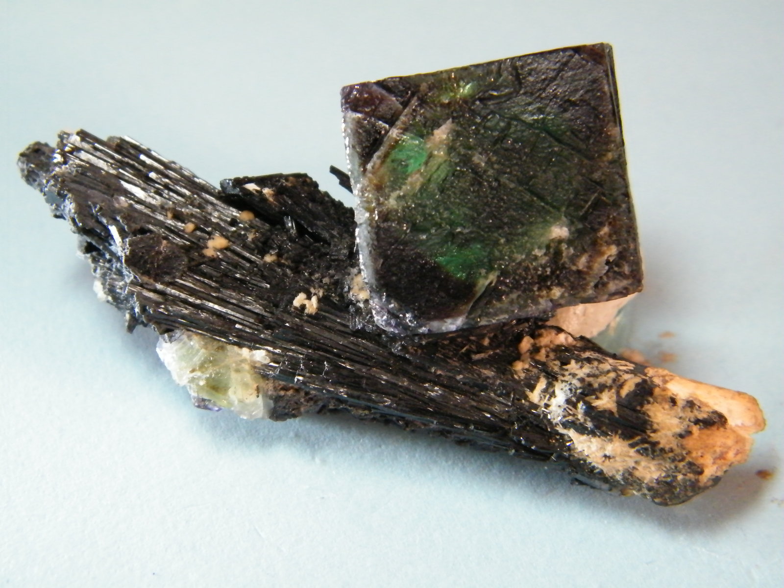 Fluorite/Schorl
73mm x 37mm x 24mm
(Autor: Heimo Hellwig)