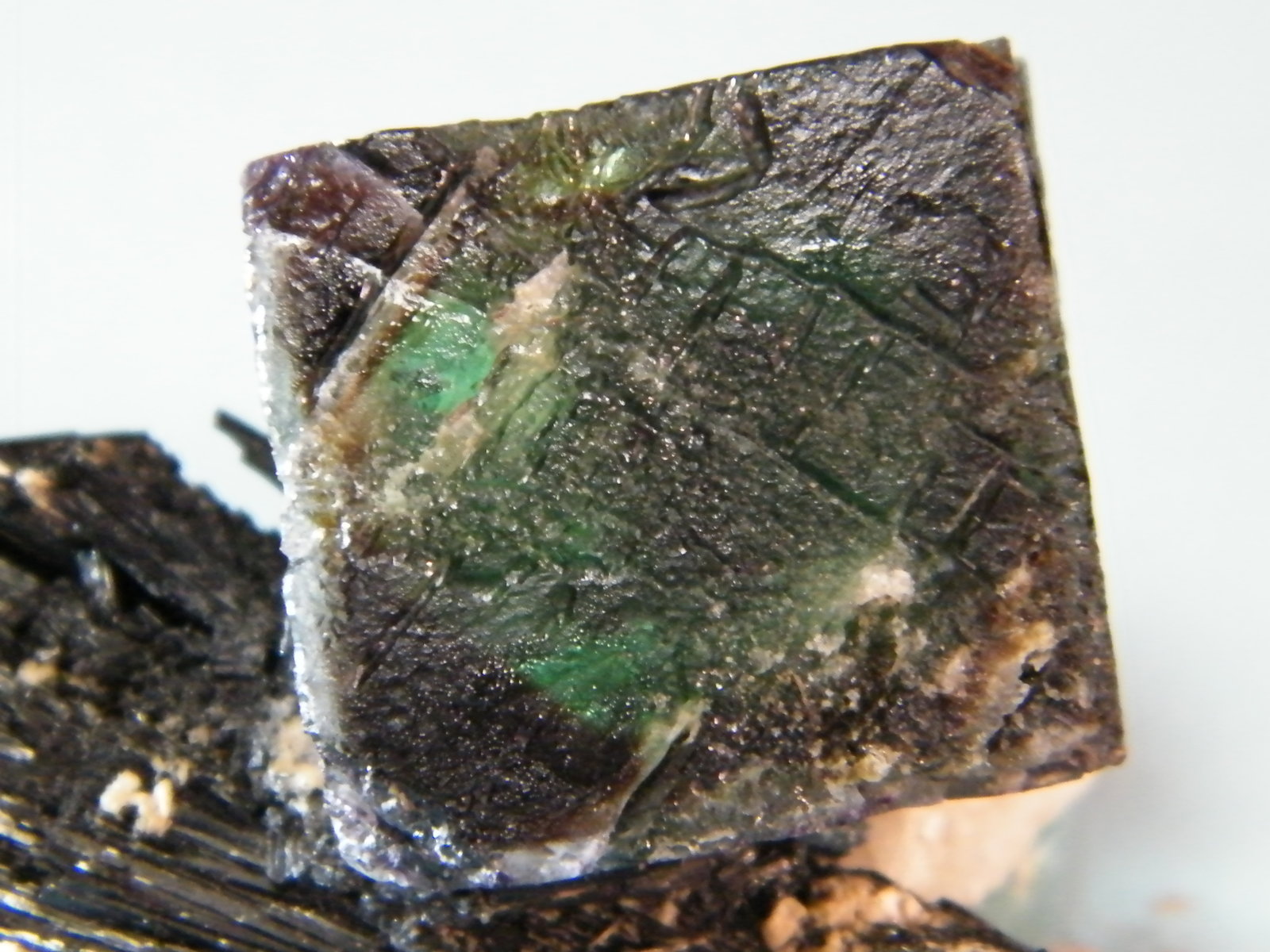 Fluorite/Schorl
73mm x 37mm x 24mm
(Autor: Heimo Hellwig)