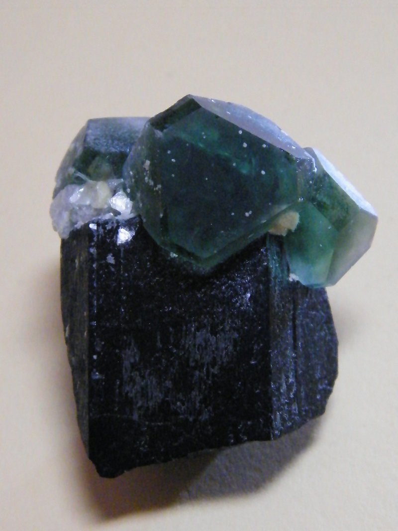 Fluorite and Schorl
33mm x 42mm x 27mm
(Autor: Heimo Hellwig)