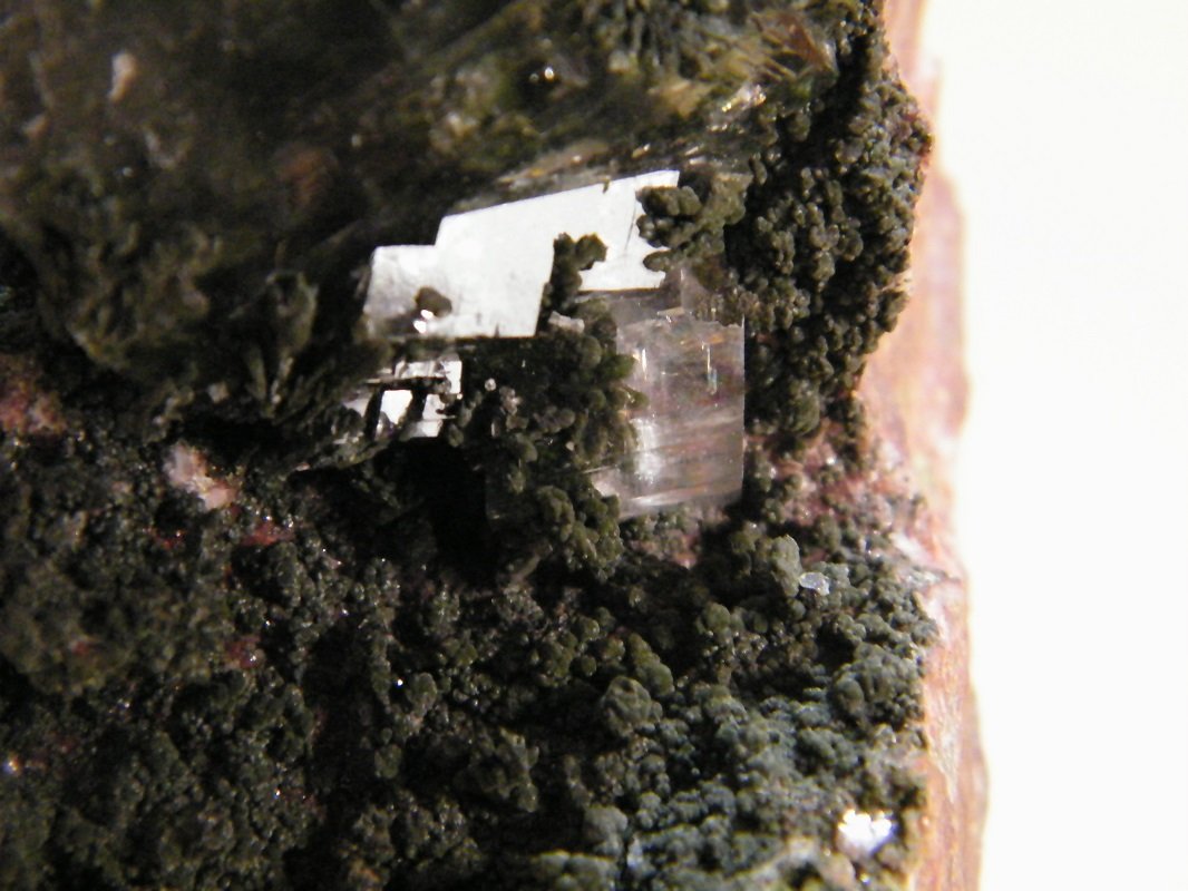 Cacite and Mottramite
58mm x 90mm x 92mm
(Autor: Heimo Hellwig)