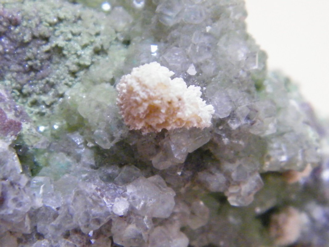 Calcite and Duftite
134mm x 72mm x 75mm
(Autor: Heimo Hellwig)