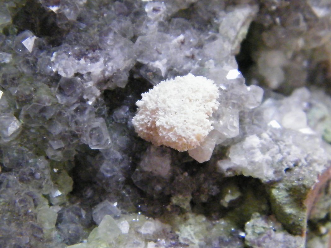 Calcite and Duftite
134mm x 72mm x 75mm
(Autor: Heimo Hellwig)
