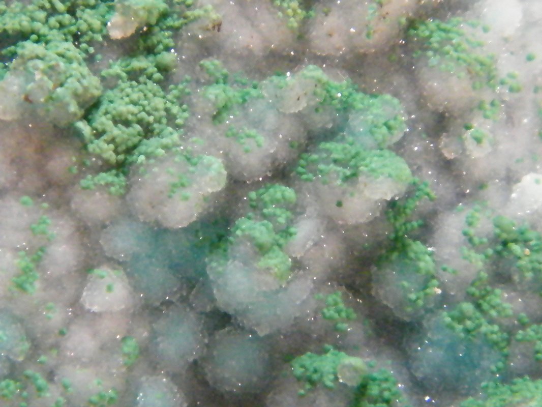 Chrysocolla, Malachite and Quartz
127mm x 109mm x 52mm
(Autor: Heimo Hellwig)