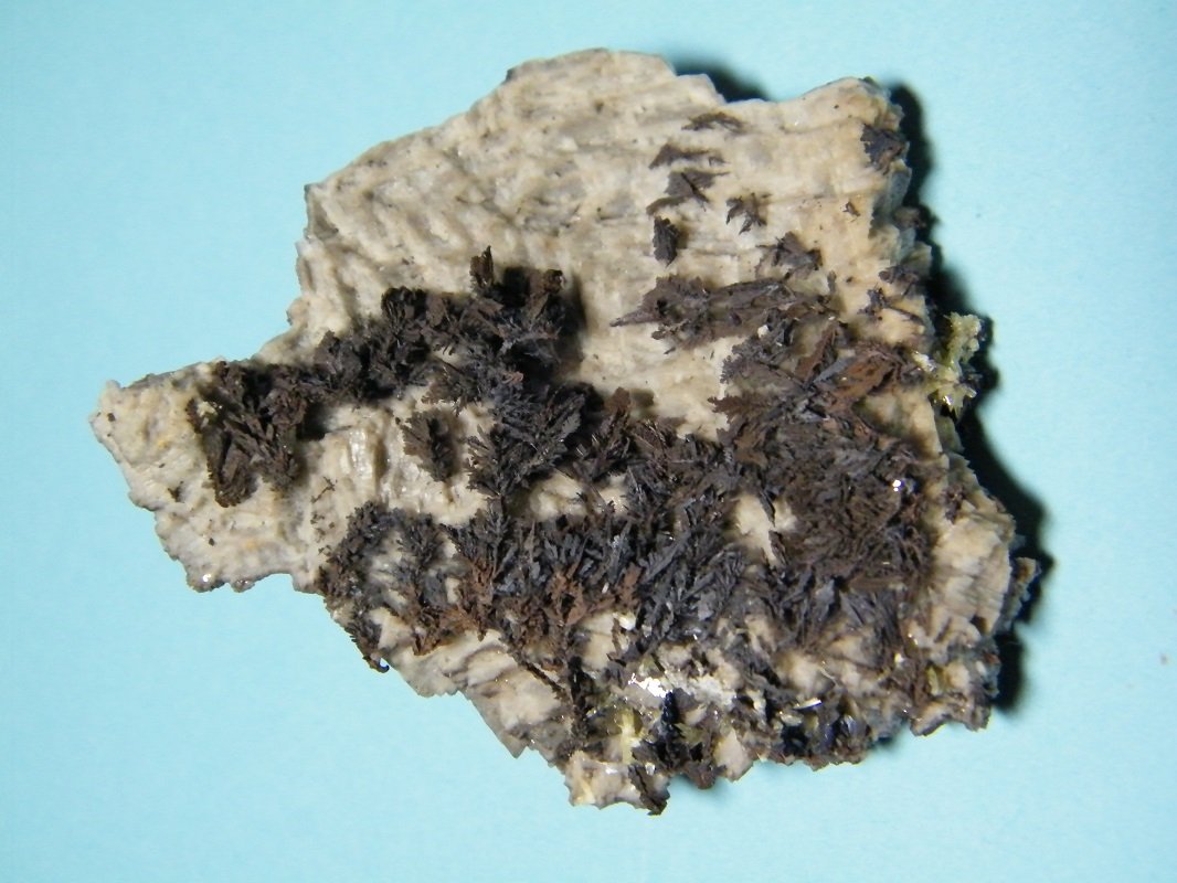 Copper on Dolomite
61mm x 52mm x 12mm
(Autor: Heimo Hellwig)