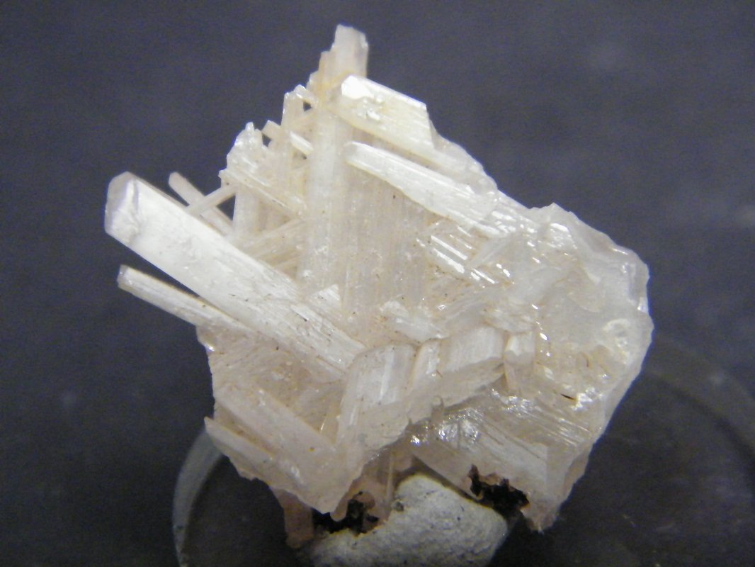 Cerussite
23mm x 20mm x 6mm
(Autor: Heimo Hellwig)