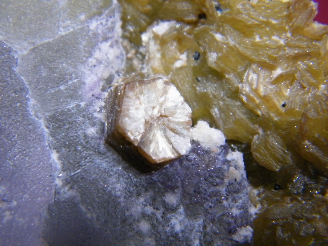 Fluorite with muscovite
85x80x15mm
(Autor: Heimo Hellwig)