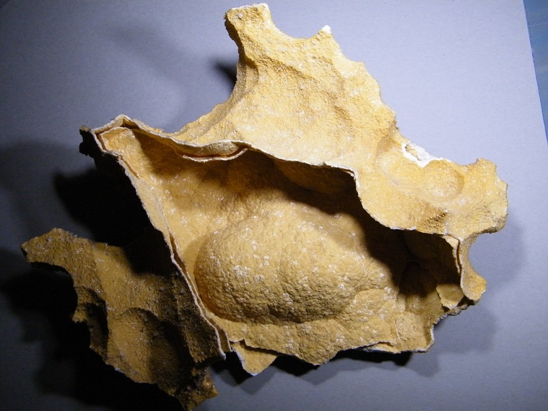Dolomite
330x250x100mm
(Autor: Heimo Hellwig)