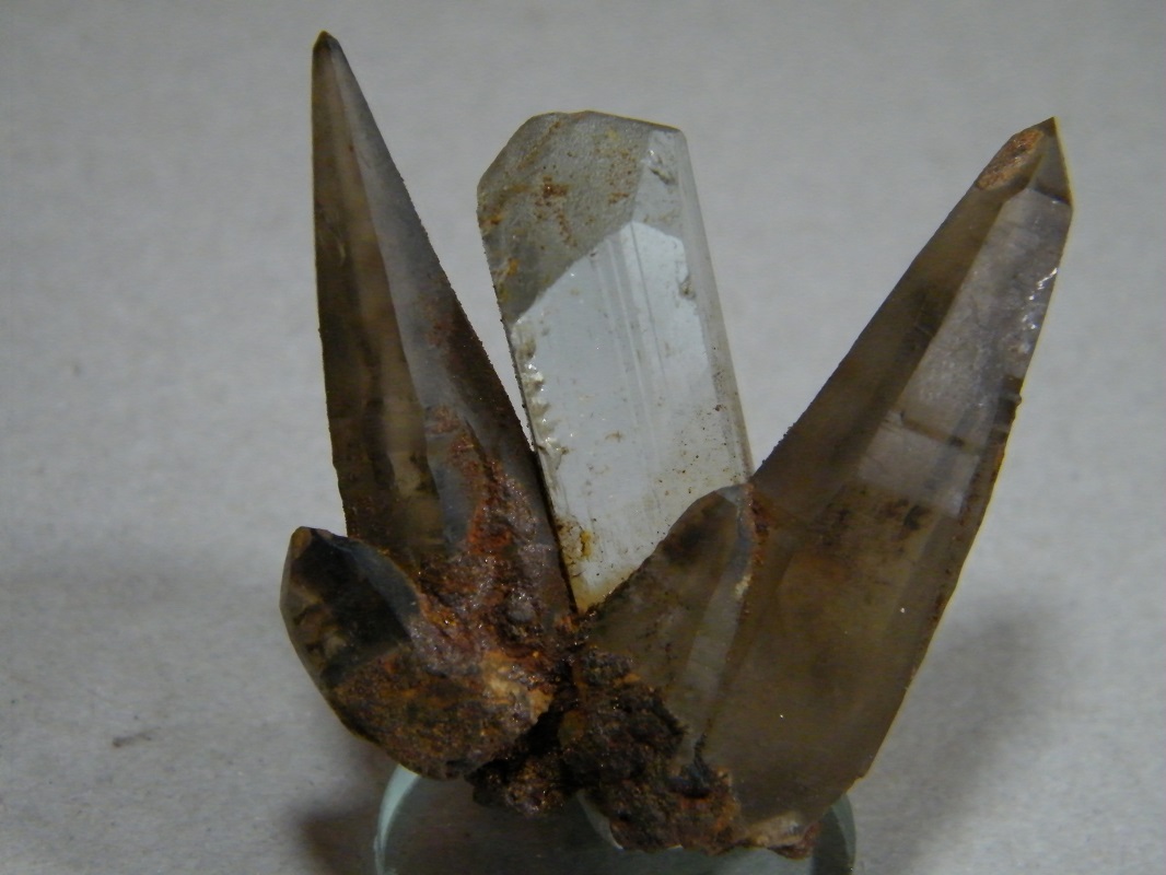 Topaz
50x40mm
(Autor: Heimo Hellwig)