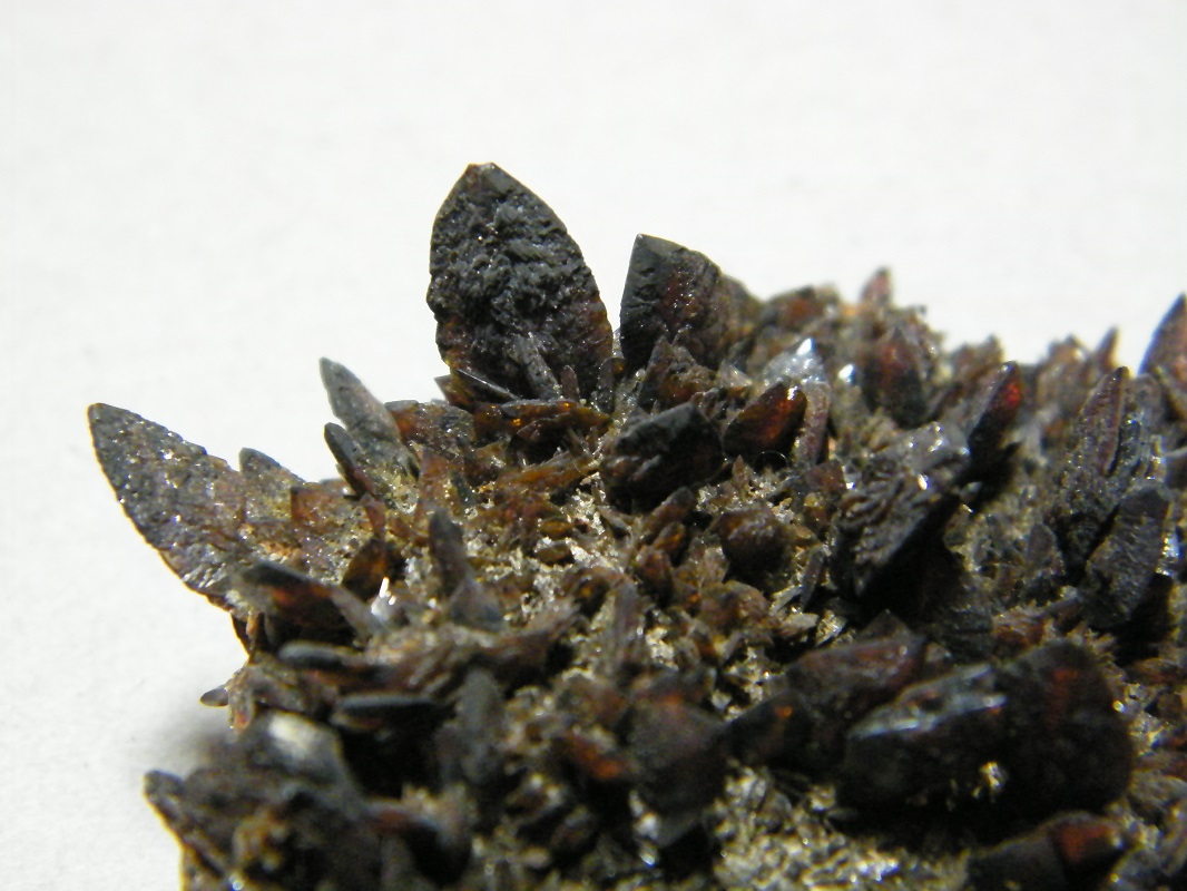 Descloizite
55x50mm
(Autor: Heimo Hellwig)