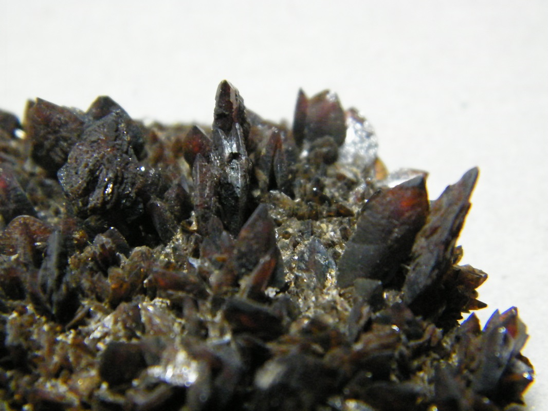 Descloizite
55x50mm
(Autor: Heimo Hellwig)