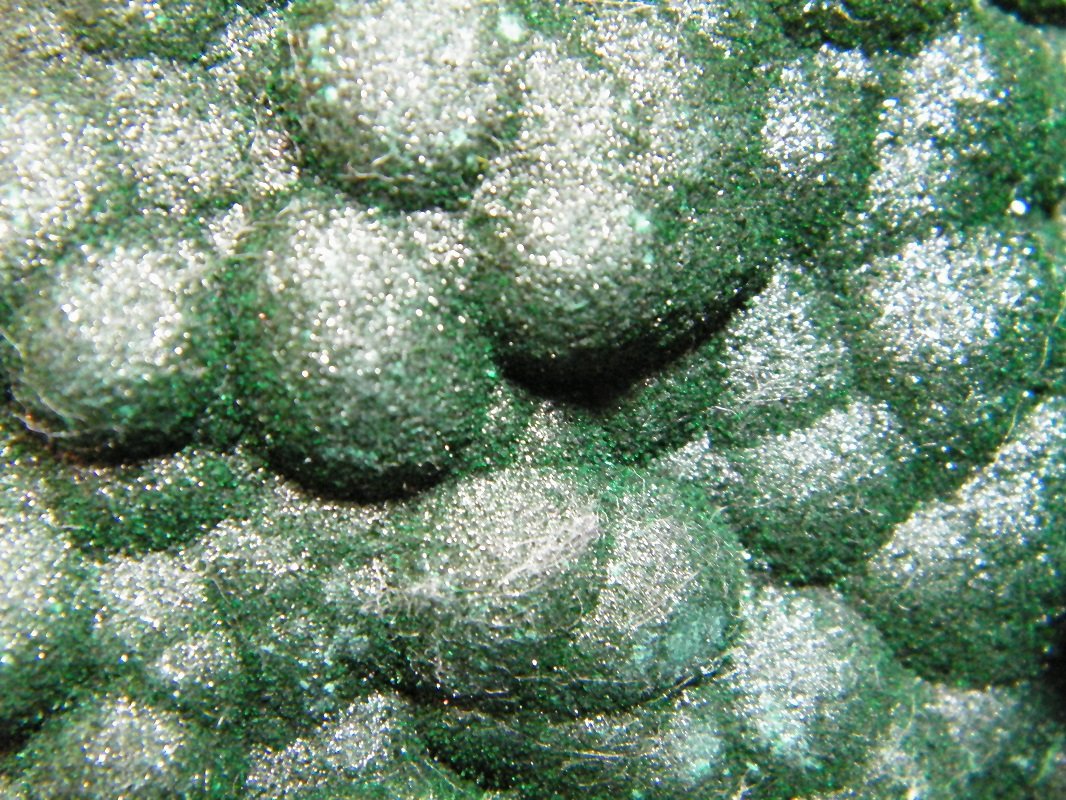 Malachite
110x65mm
(Autor: Heimo Hellwig)
