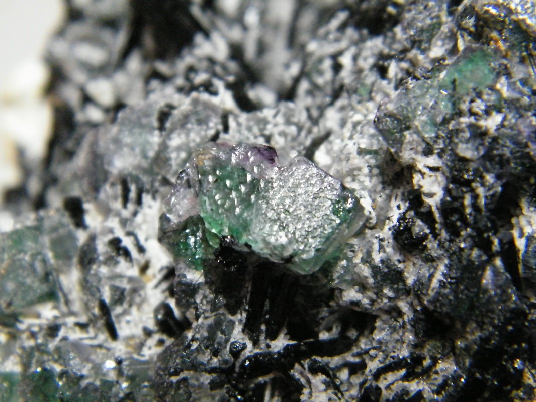 Fluorite and Schorl
200x130x120mm
(Autor: Heimo Hellwig)