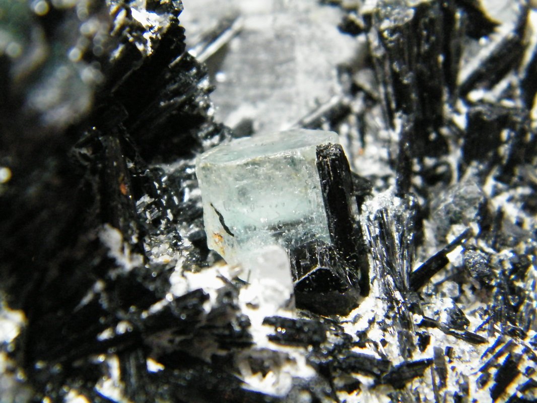 Schorl and Beryl (variety aquamarine)
200x130x120mm
(Autor: Heimo Hellwig)