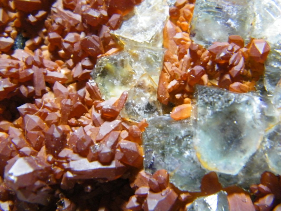 Fluorite and Quartz
100x60mm
(Autor: Heimo Hellwig)