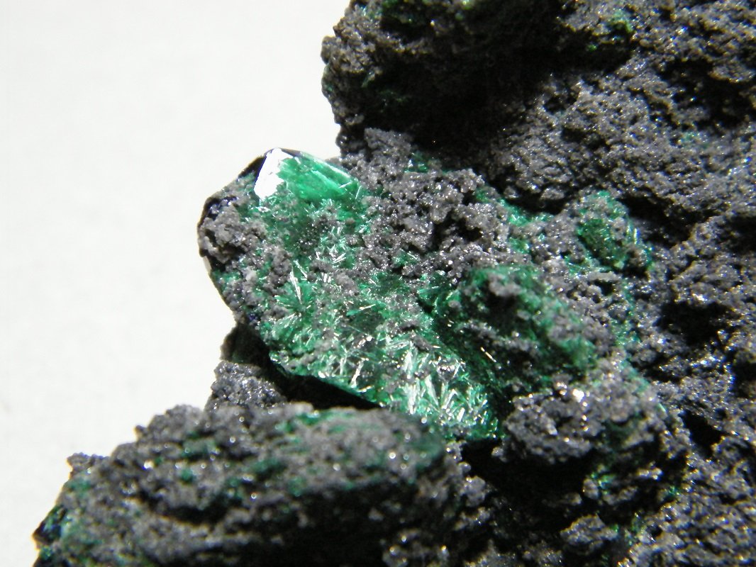 Mottramite, Malachite, Azurite
70x50mm
(Autor: Heimo Hellwig)