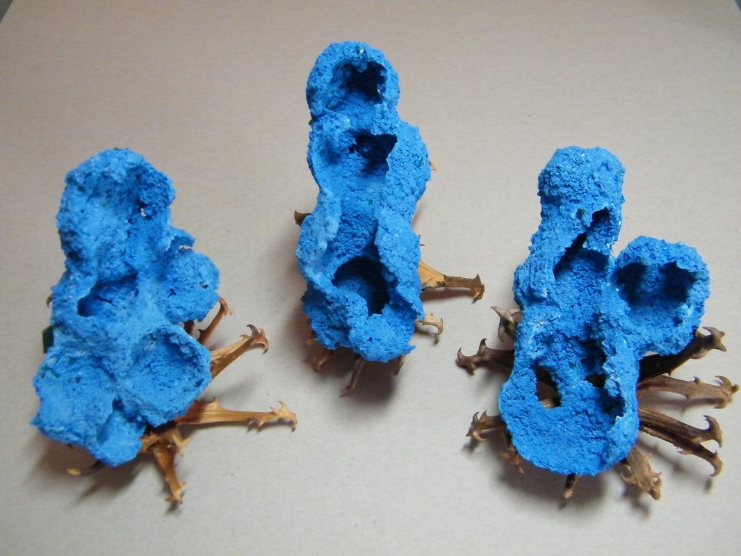 Shattuckite
to follow
(Autor: Heimo Hellwig)