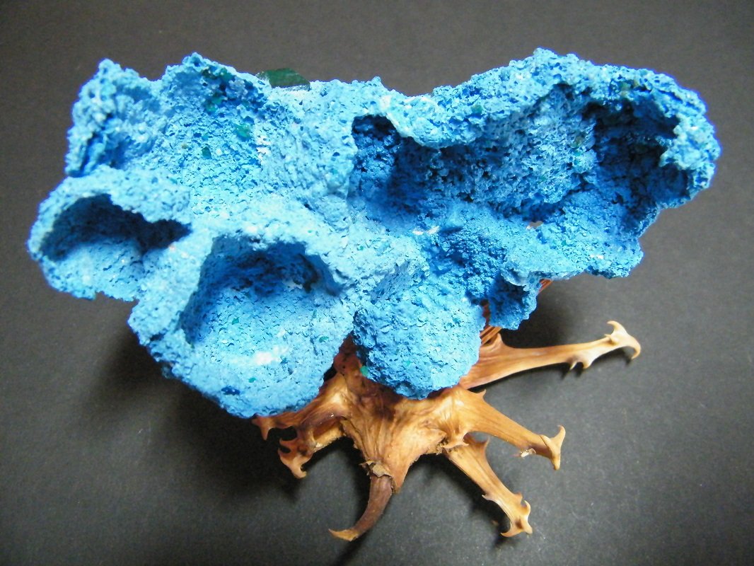 Shattuckite
95x55x25mm
(Autor: Heimo Hellwig)