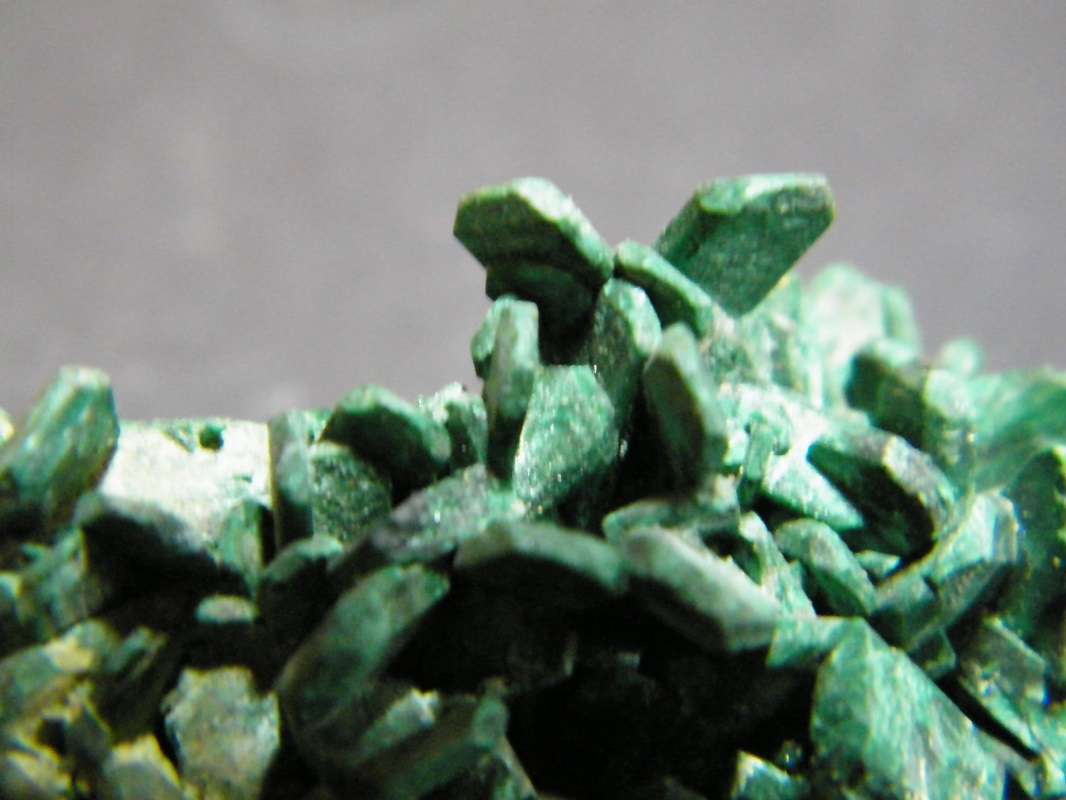 Malachite after Azurite
50x30mm
(Autor: Heimo Hellwig)