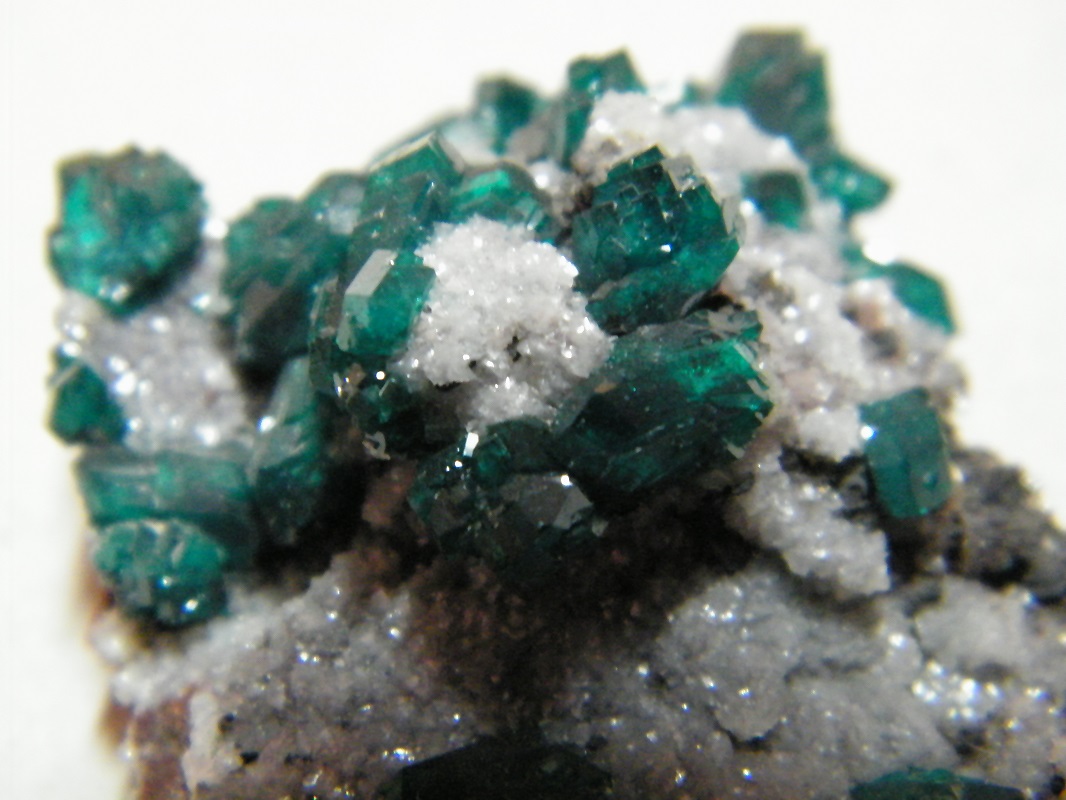 Dioptase on Calcite
50x35mm
(Autor: Heimo Hellwig)