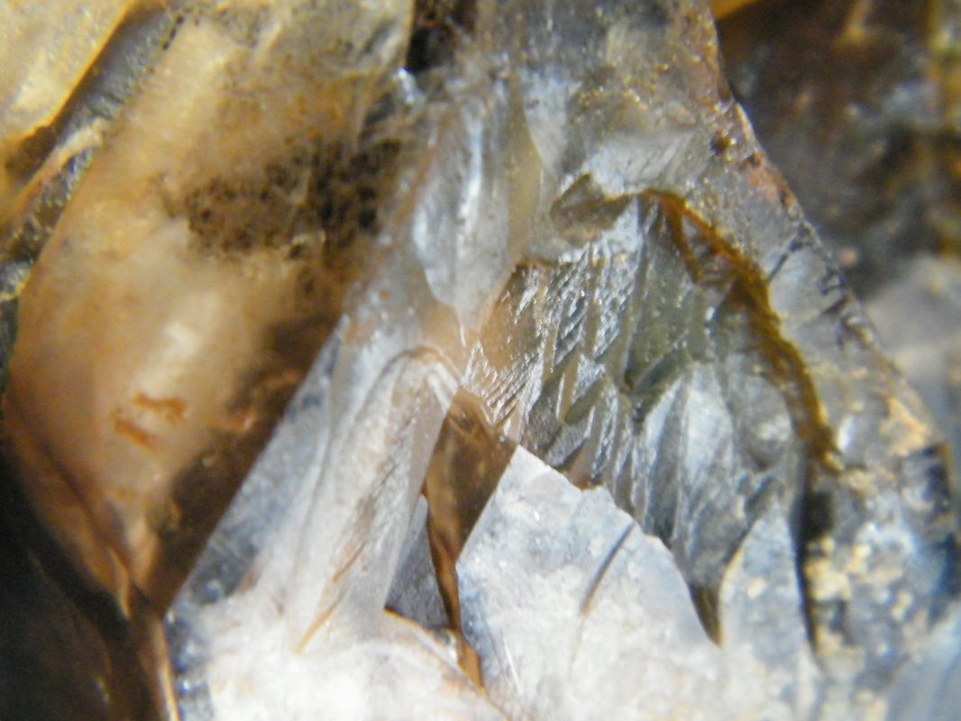 Quartz (variety smoky)
160x110x80mm
(Autor: Heimo Hellwig)