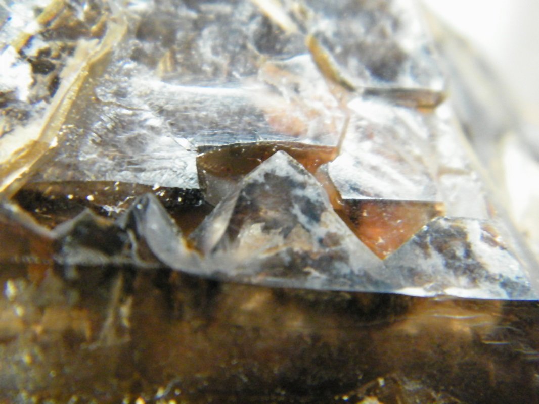 Quartz (variety smoky)
160x110x80mm
(Autor: Heimo Hellwig)