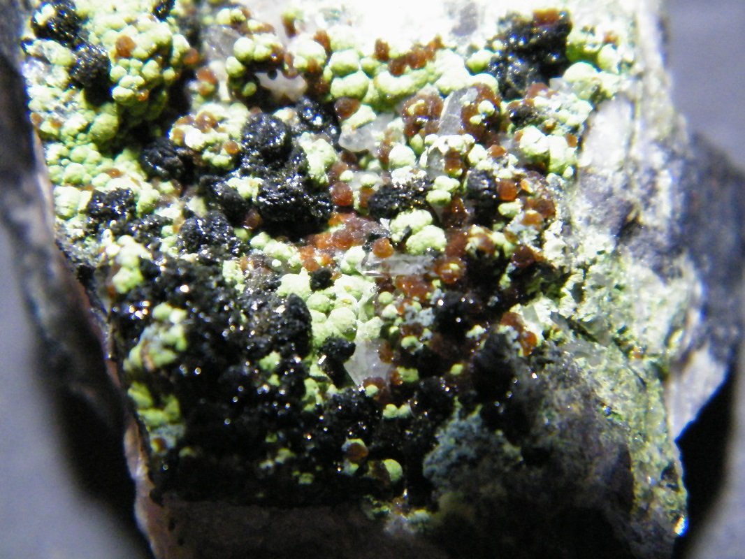 Chenevixite, Ferrilotharmeyerite and Olivenite
40x35x30mm
(Autor: Heimo Hellwig)