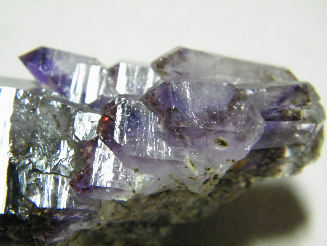 Quartz (variety amethyst)
40x70mm
(Autor: Heimo Hellwig)