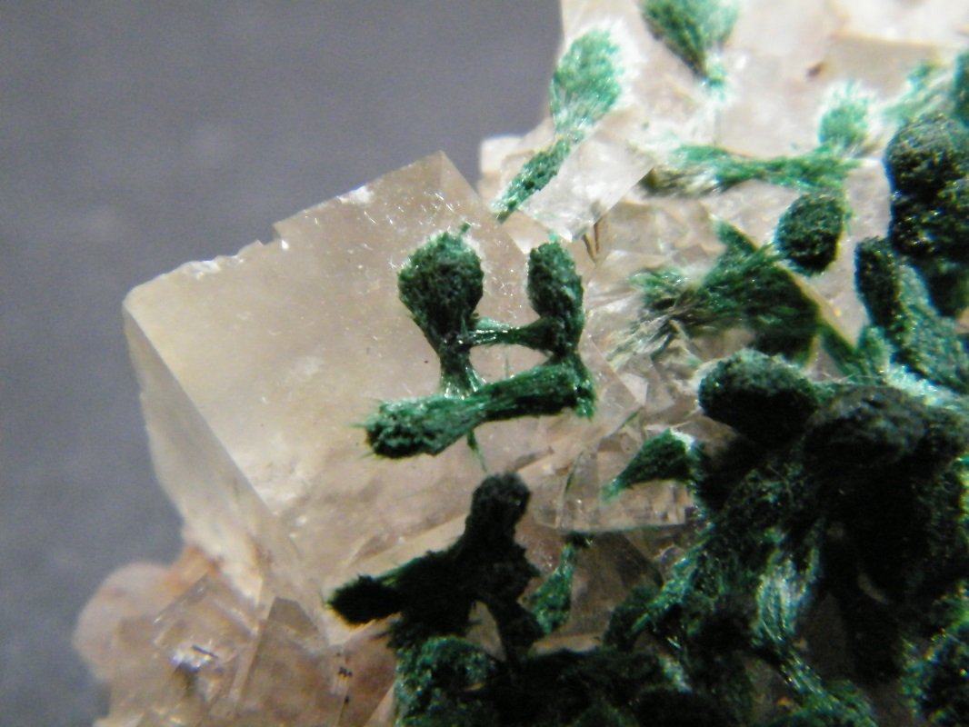 Malachite on Calcite
35x35x15mm
(Autor: Heimo Hellwig)