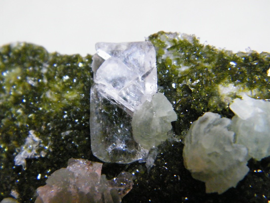 Quartz, Prehnite on Epidote
130x80mm
(Autor: Heimo Hellwig)