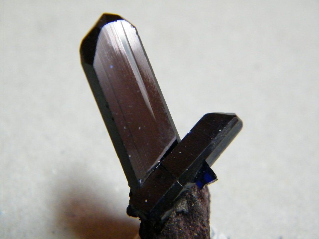 Azurite
20mmx35mmx10mm
(Autor: Heimo Hellwig)
