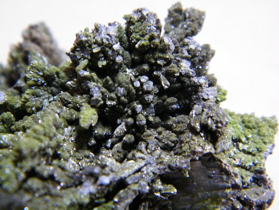 Cerussite covered with (Mottramite?)
55mmx50mmx40mm
(Autor: Heimo Hellwig)