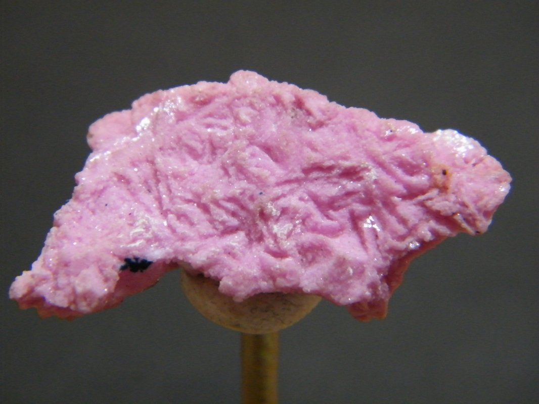 Dolomite
35mmx18mm
(Autor: Heimo Hellwig)