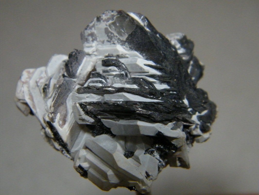 Hydrocerussite
35mmx30mm
(Autor: Heimo Hellwig)
