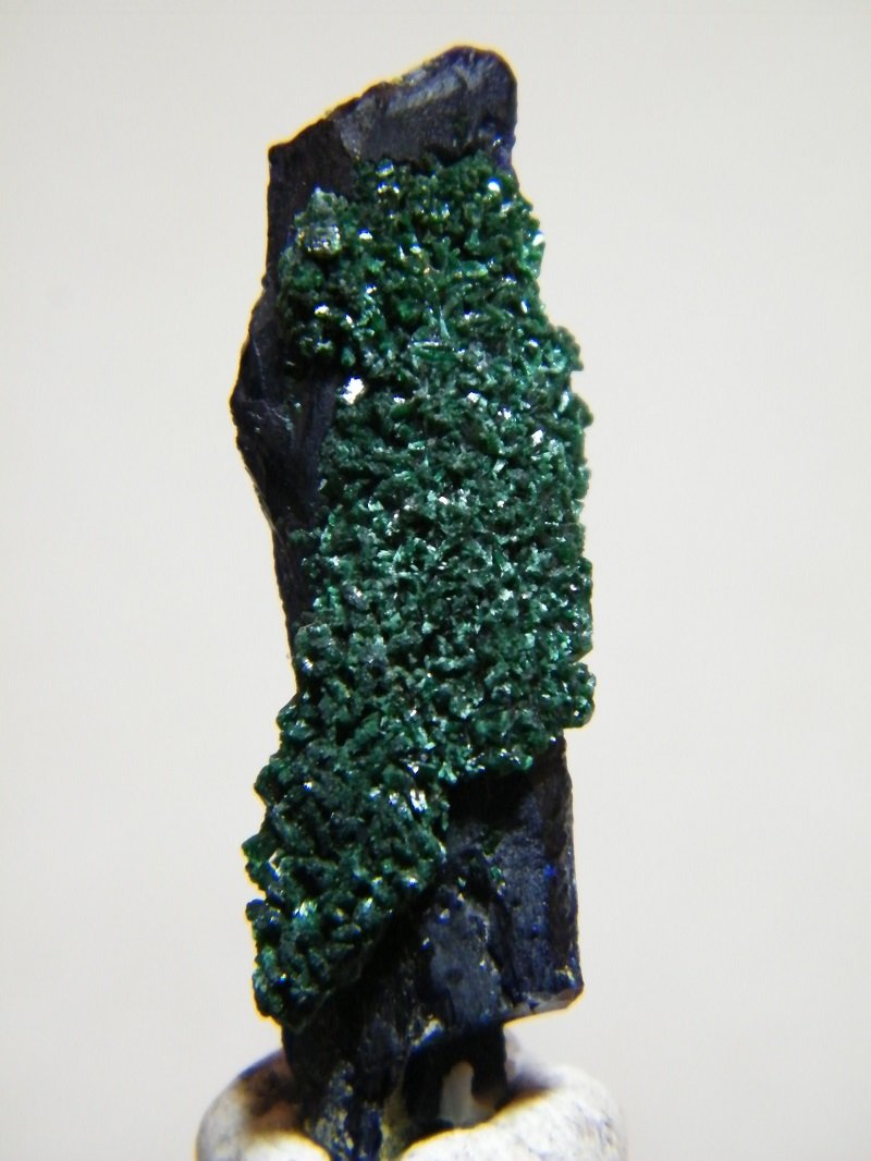 Azurite and Malachite
10mmx35mm
(Autor: Heimo Hellwig)