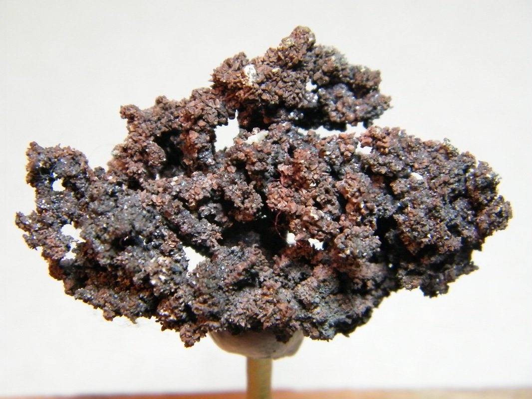 Copper
48mm x 31mm
(Autor: Heimo Hellwig)