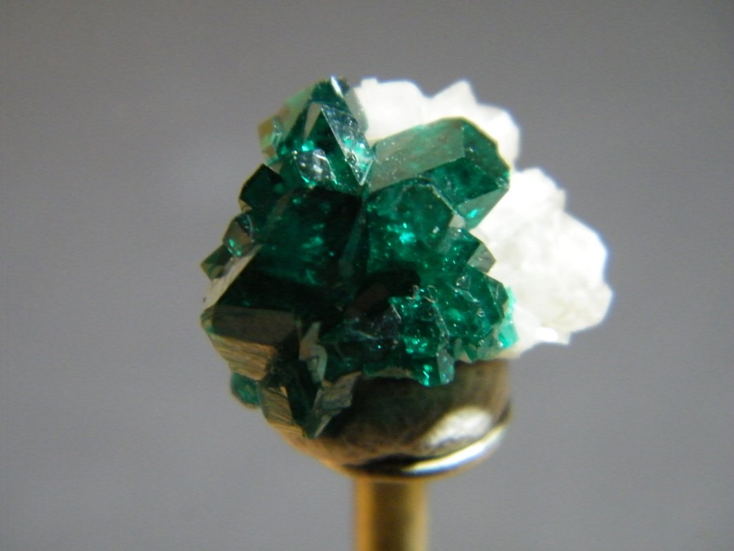 Dioptase
11mm x 13mm
(Autor: Heimo Hellwig)