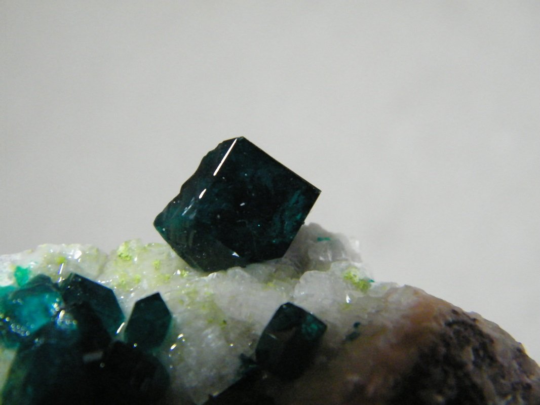 Dioptase on Calcite
70mm x 60mm x 40mm
(Autor: Heimo Hellwig)