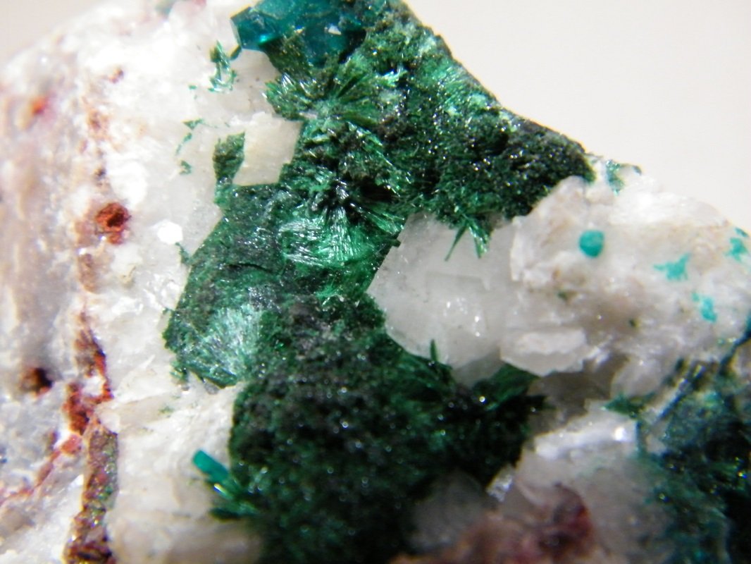Dioptase and Malachite
35mm x 70mm x 70mm
(Autor: Heimo Hellwig)