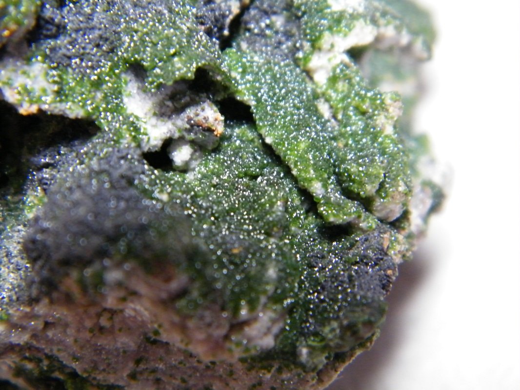Arsentsumebite and Mottramite
72mm x 106mm x 56mm
(Autor: Heimo Hellwig)