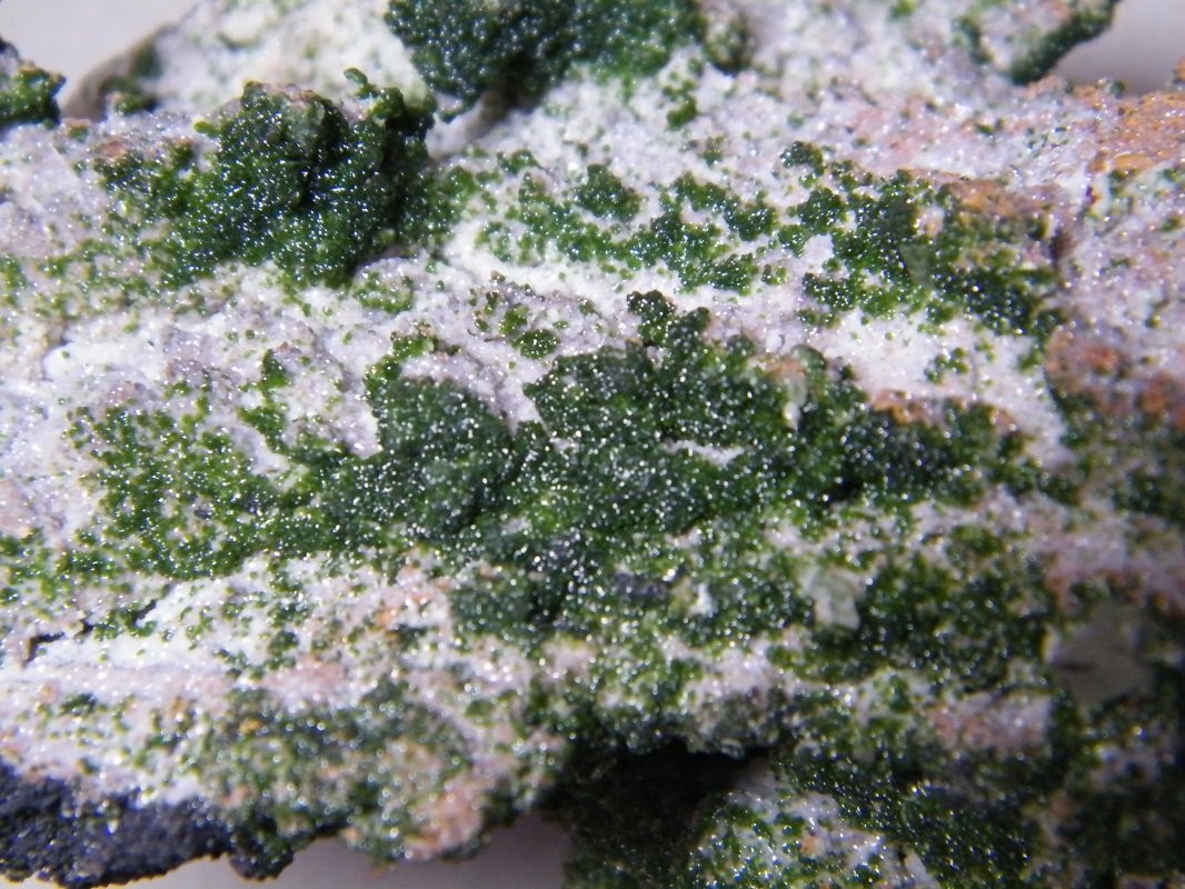 Arsentsumebite and Mottramite
72mm x 106mm x 56mm
(Autor: Heimo Hellwig)