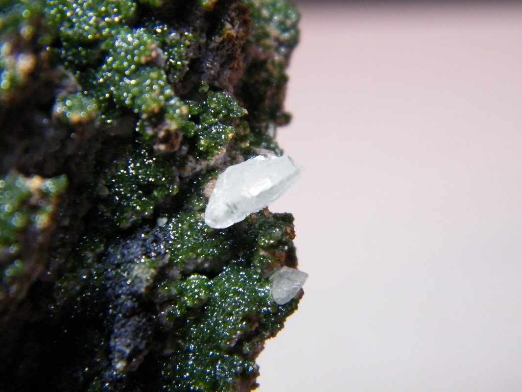 Arsentsumebite and Mottramite
72mm x 106mm x 56mm
(Autor: Heimo Hellwig)