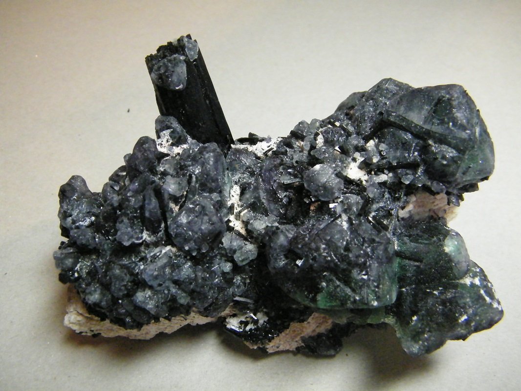 Fluorite and Schorl
128mm x 86mm x 65mm
(Autor: Heimo Hellwig)
