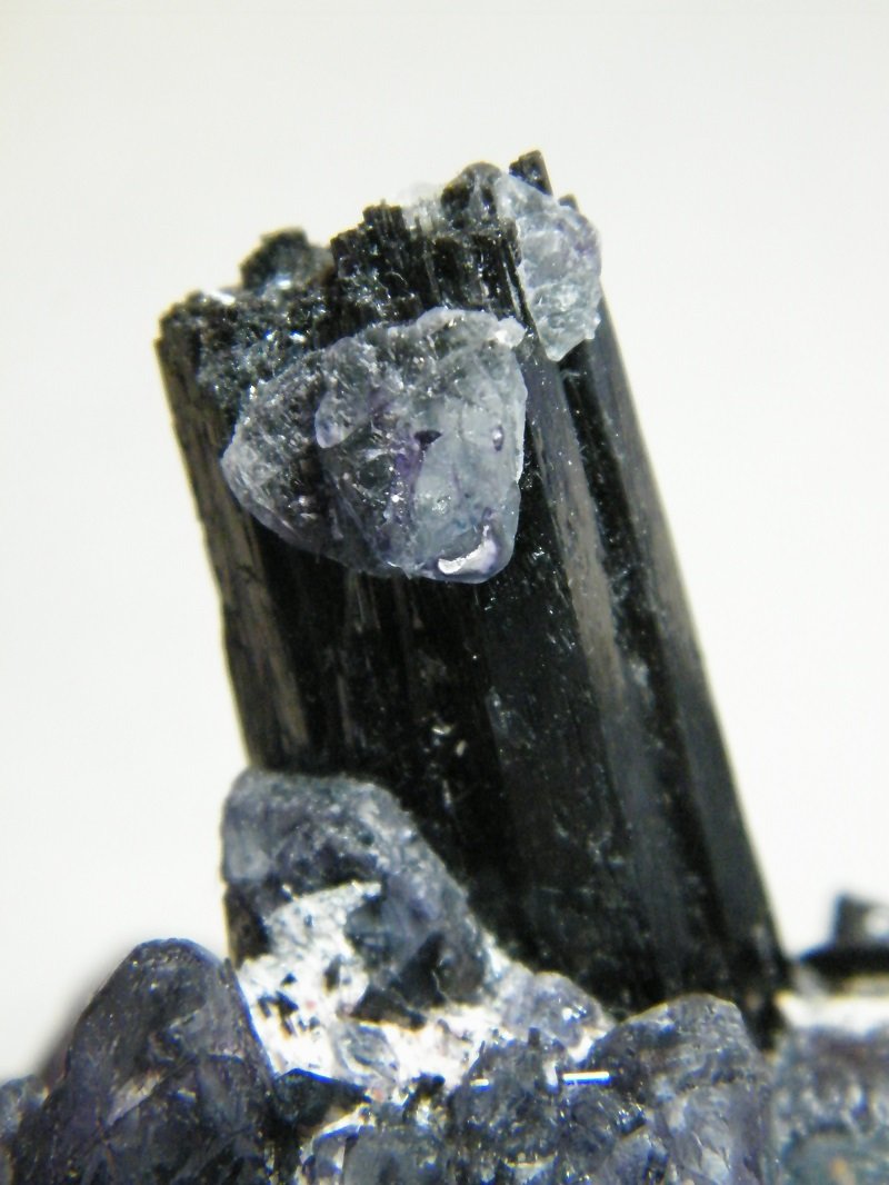 Fluorite and Schorl
128mm x 86mm x 65mm
(Autor: Heimo Hellwig)