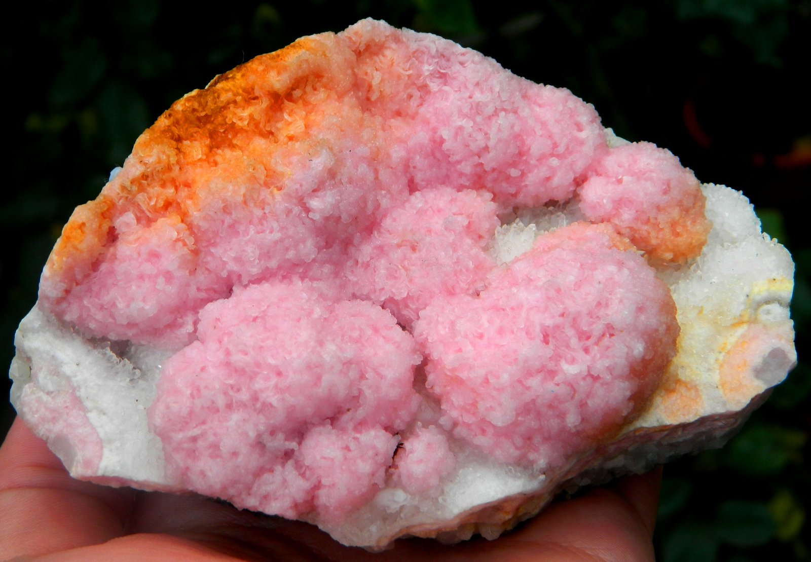 Rhodochrosite with Quartz
~ 11 x 7 cm
(Autor: Deyu)