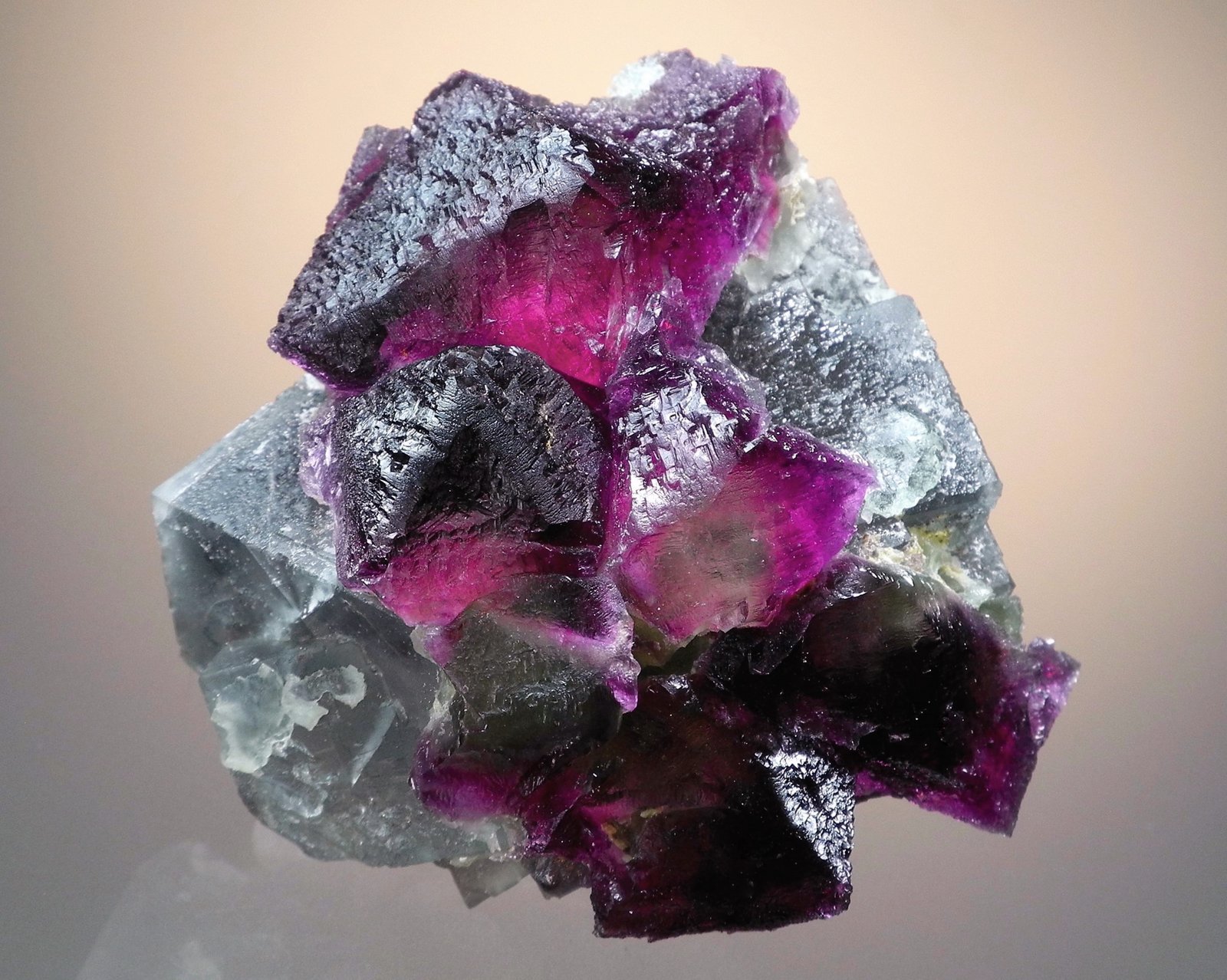 Fluorite
6.4 x 6.1 cm
(Autor: Philip Simmons)