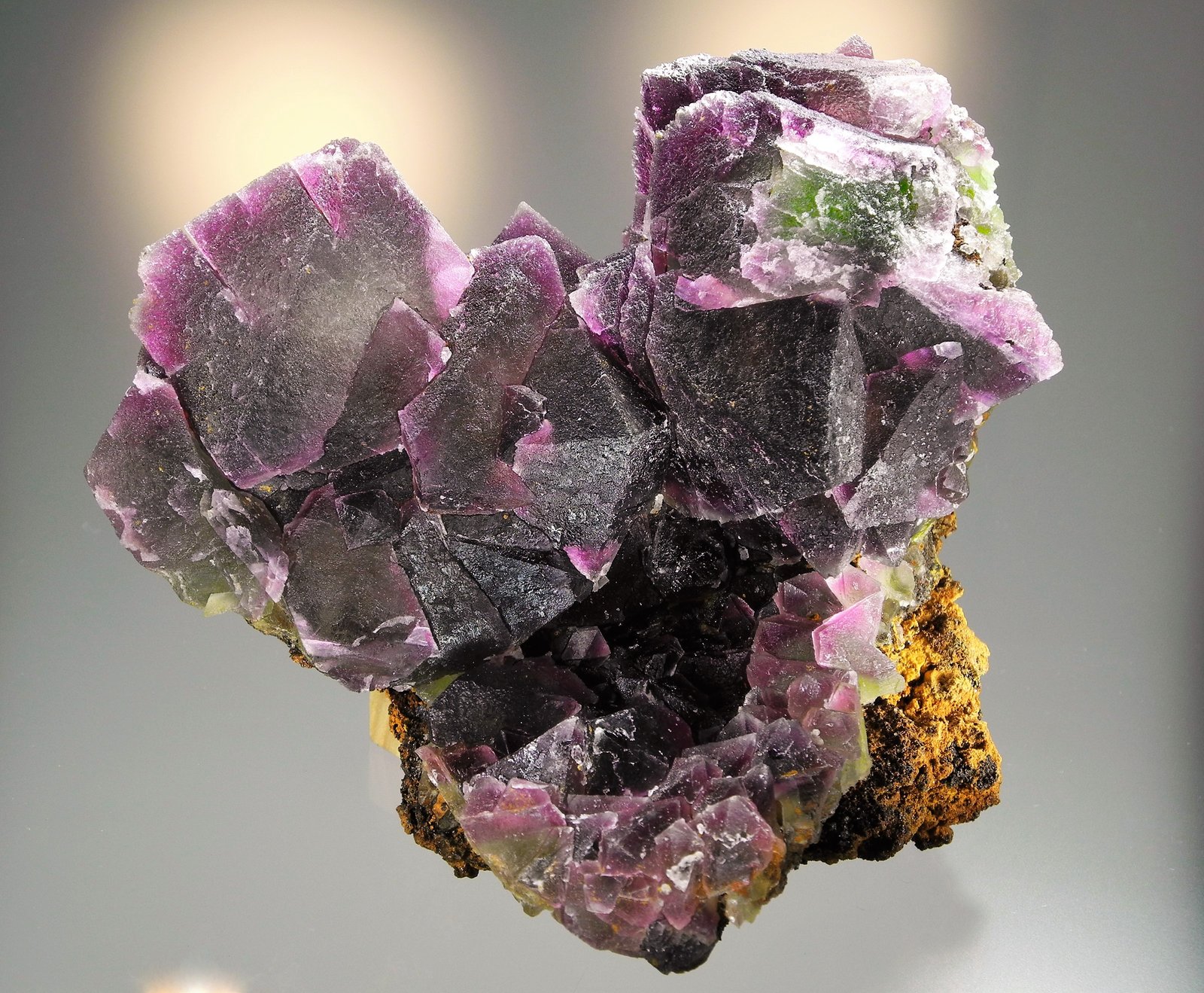 Fluorite
14.8 x 12.7
(Autor: Philip Simmons)