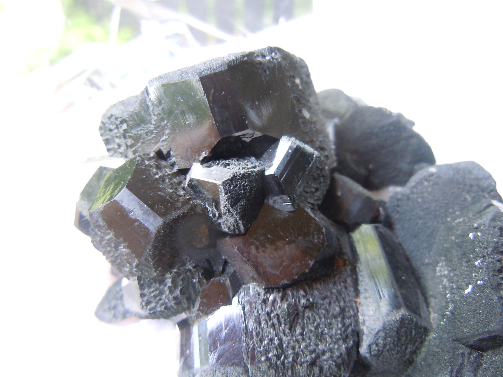 Schorl (Tourmaline Group)
10.2 x 10.2 x 7.6 cm
(Autor: Casimir Sarisky)