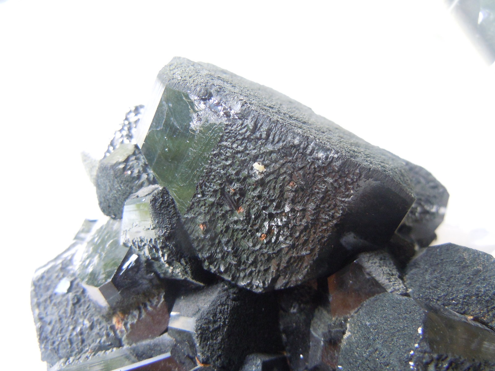 Schorl (Tourmaline Group)
10.2 x 10.2 x 7.6 cm
(Autor: Casimir Sarisky)