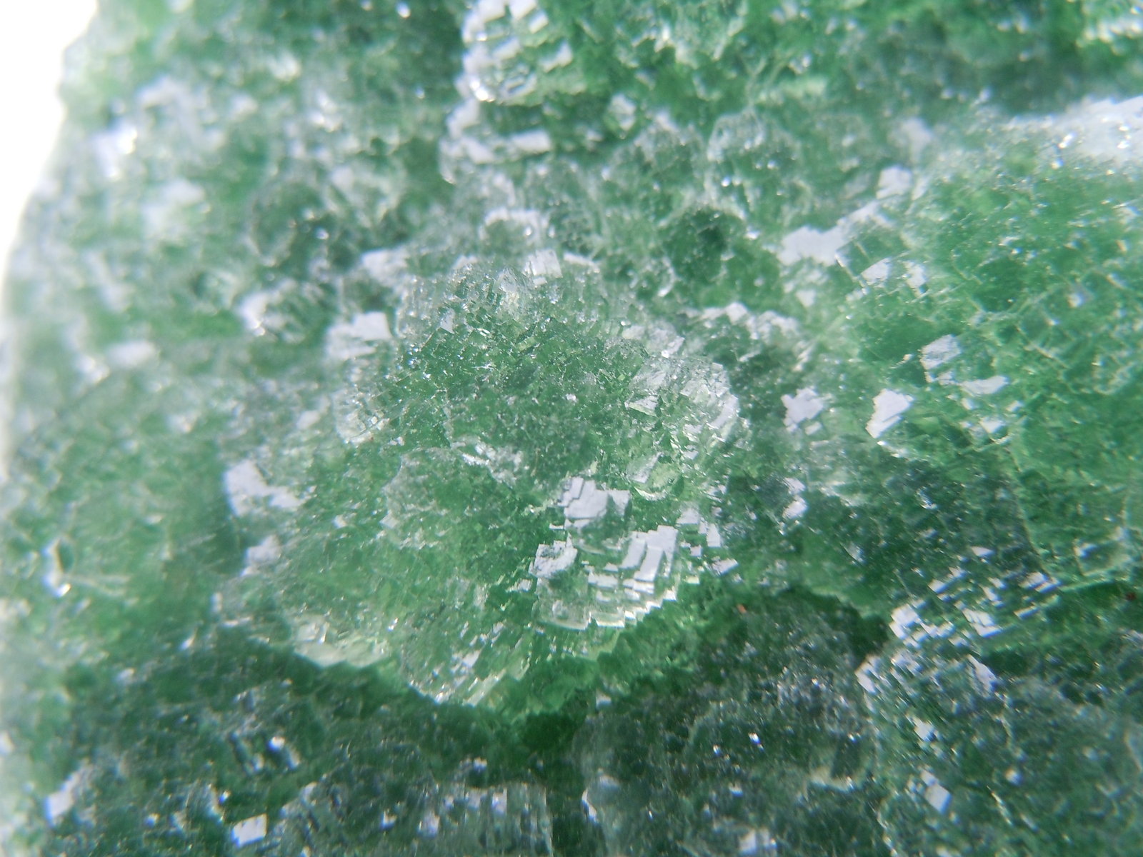 Fluorite
8.7 x 8 cm
(Autor: Casimir Sarisky)