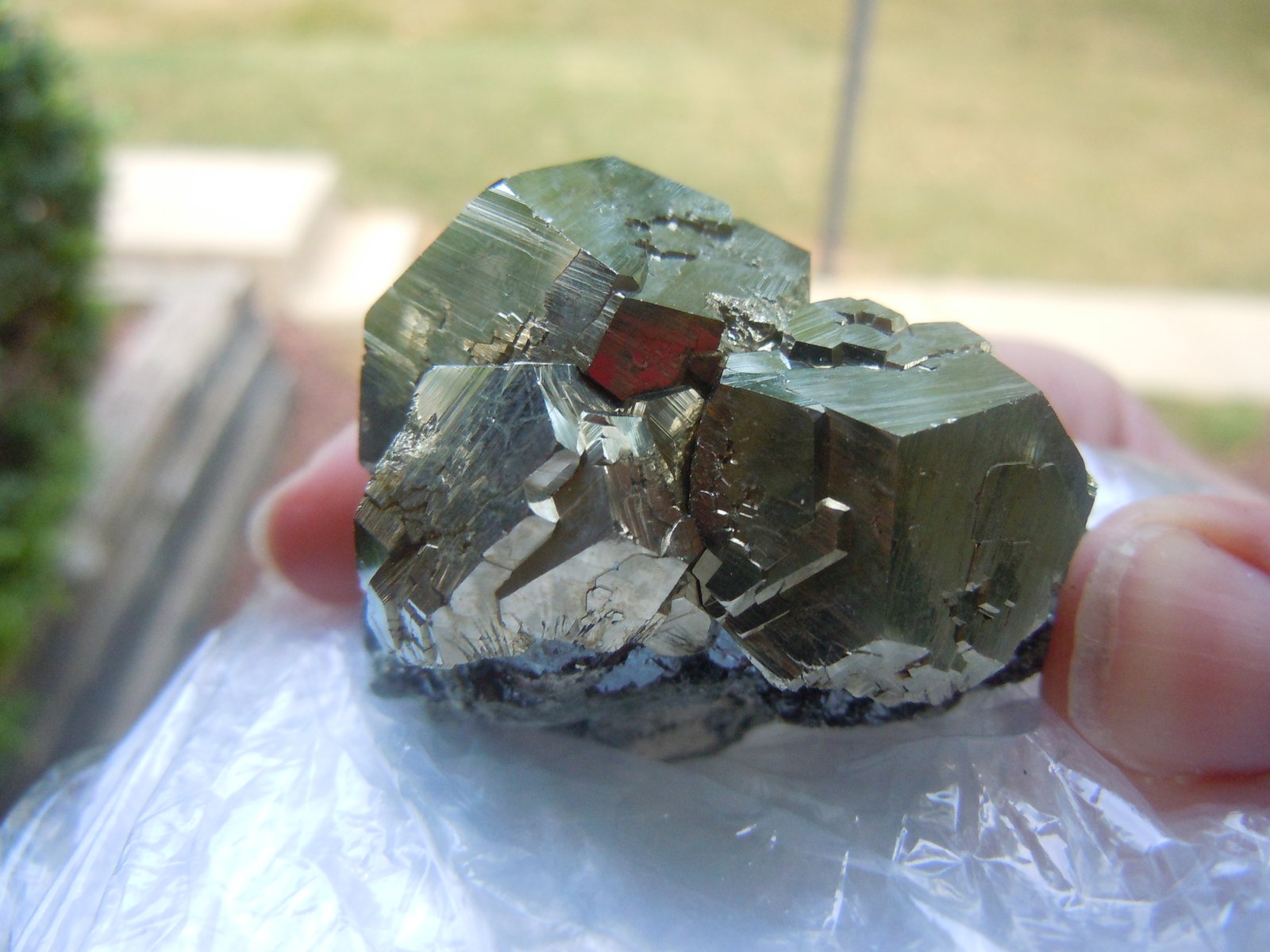 Pyrite on Hematite
5.1 x 5.1 cm
(Autor: Casimir Sarisky)